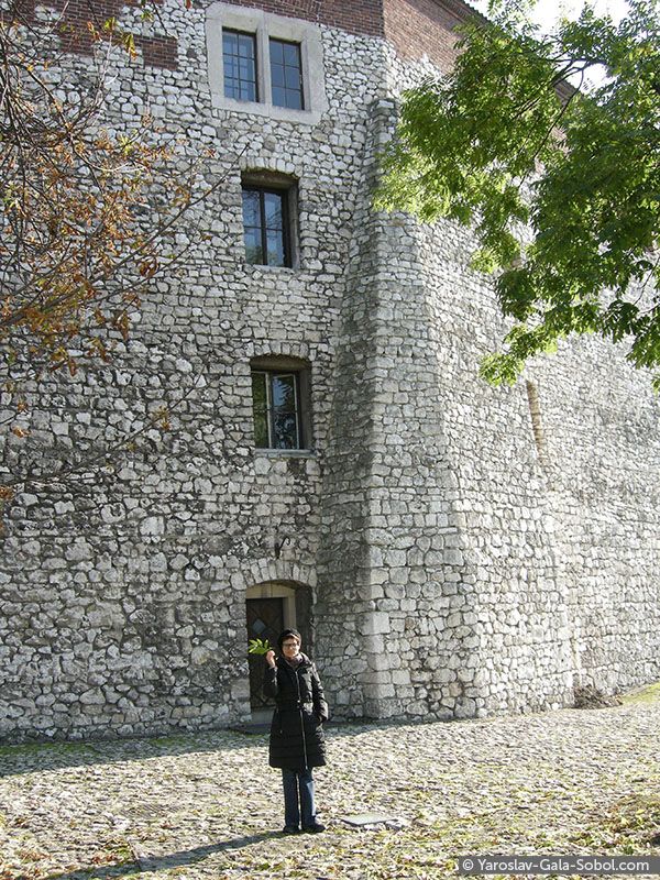 YAROSLAV AND GALA SOBOL  Wawel  Royal Castle. 2014 // У Вавелі. 2014